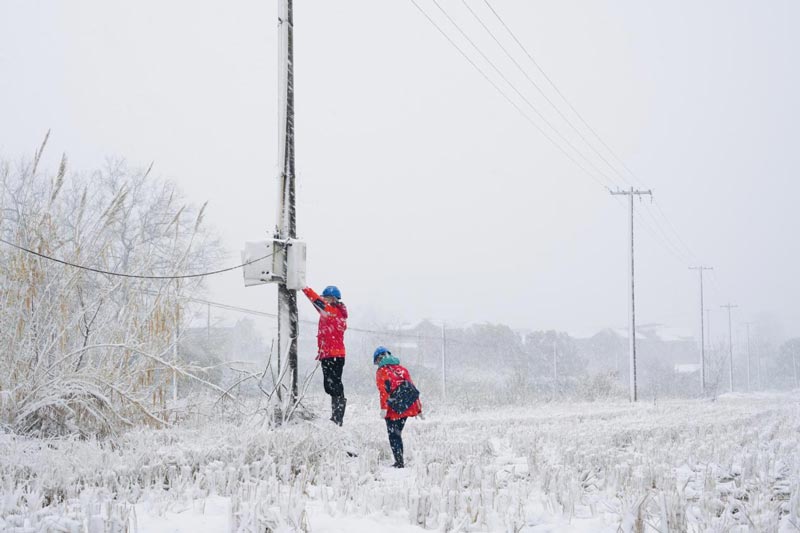 國網(wǎng)衢州供電公司員工走進(jìn)農(nóng)業(yè)大棚、養(yǎng)殖場(chǎng)為農(nóng)戶檢查供電設(shè)備和線路，確保農(nóng)業(yè)可靠用電。周炫炫攝