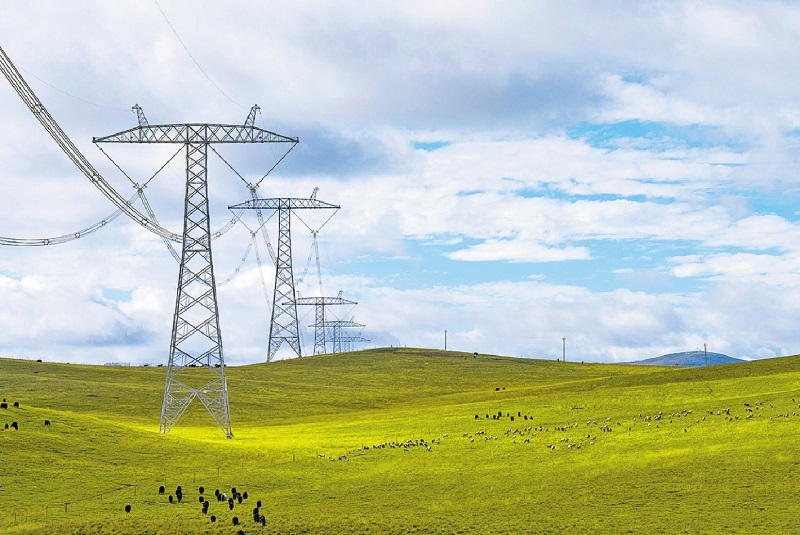 公司黨組傳達(dá)學(xué)習(xí)習(xí)近平總書記近期重要講話精神