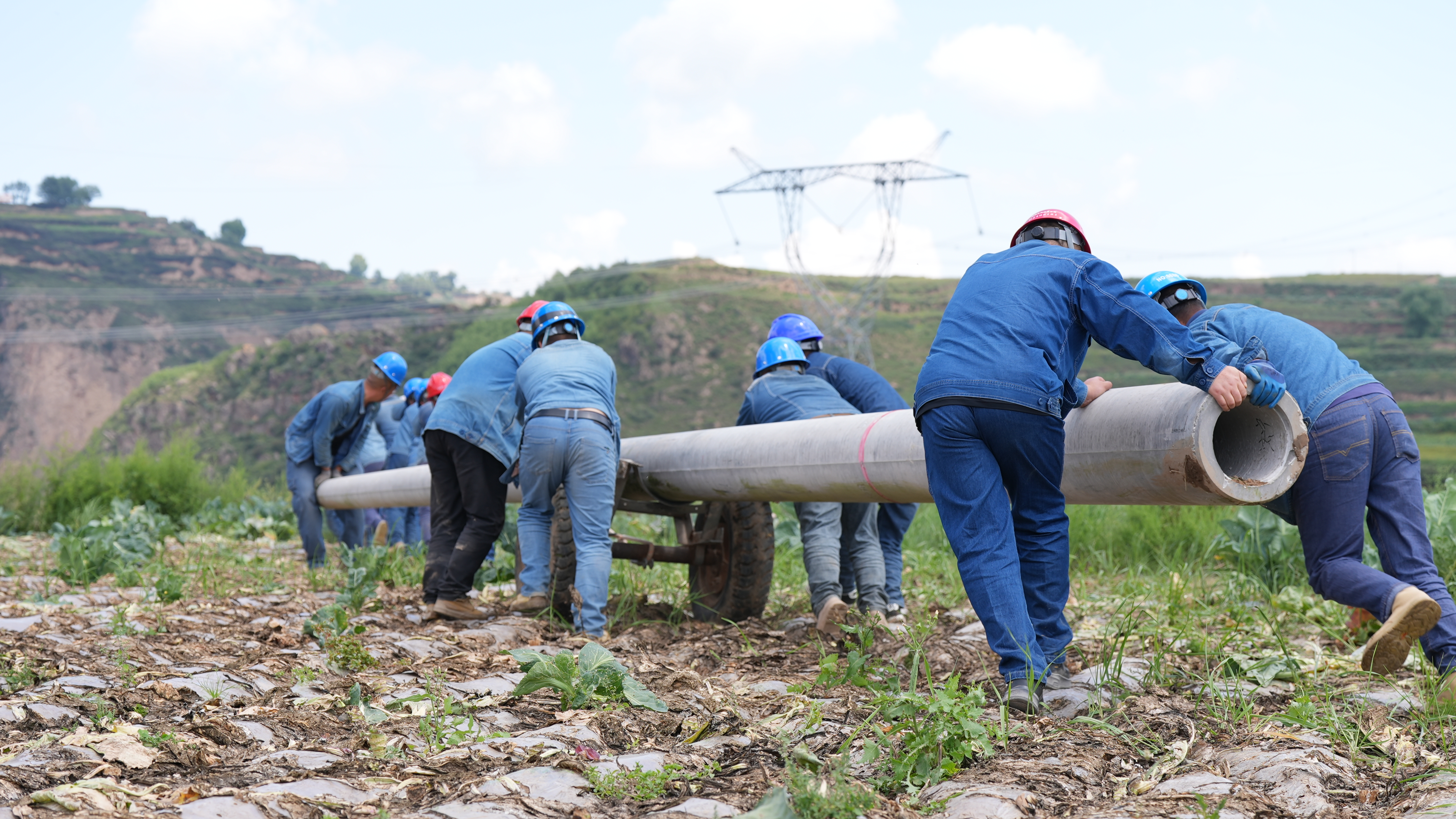 8月11日，任志<span id=