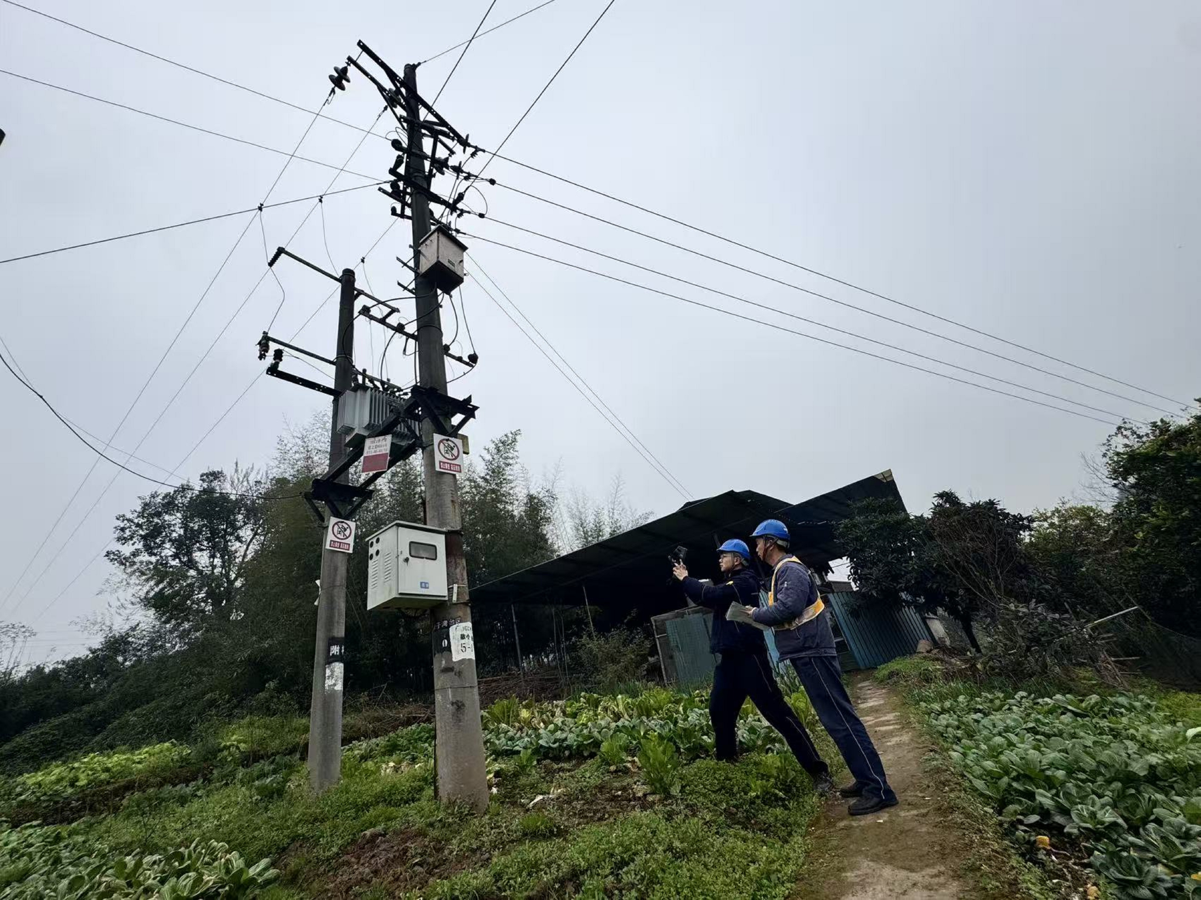 2026年2月3日，歇馬供電所工作人員何開興、胡鍵飛在歇小線開展春節(jié)前保供電特巡及隱患消缺專項(xiàng)行動(dòng).jpg