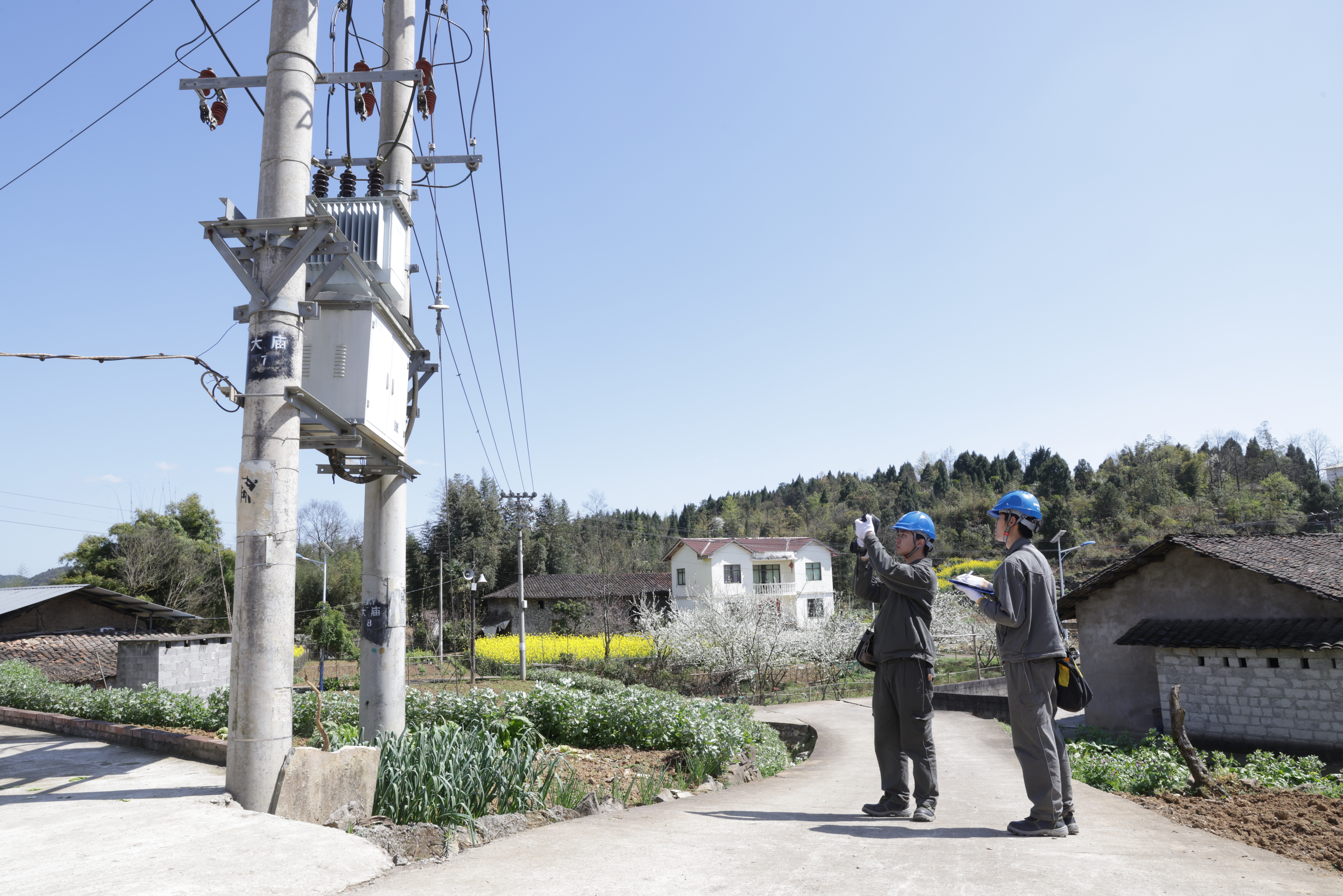 國網(wǎng)北碚供電公司黃桷供電所工作人員對配電設(shè)備進(jìn)行巡視測溫。（張強(qiáng) 攝）.JPG