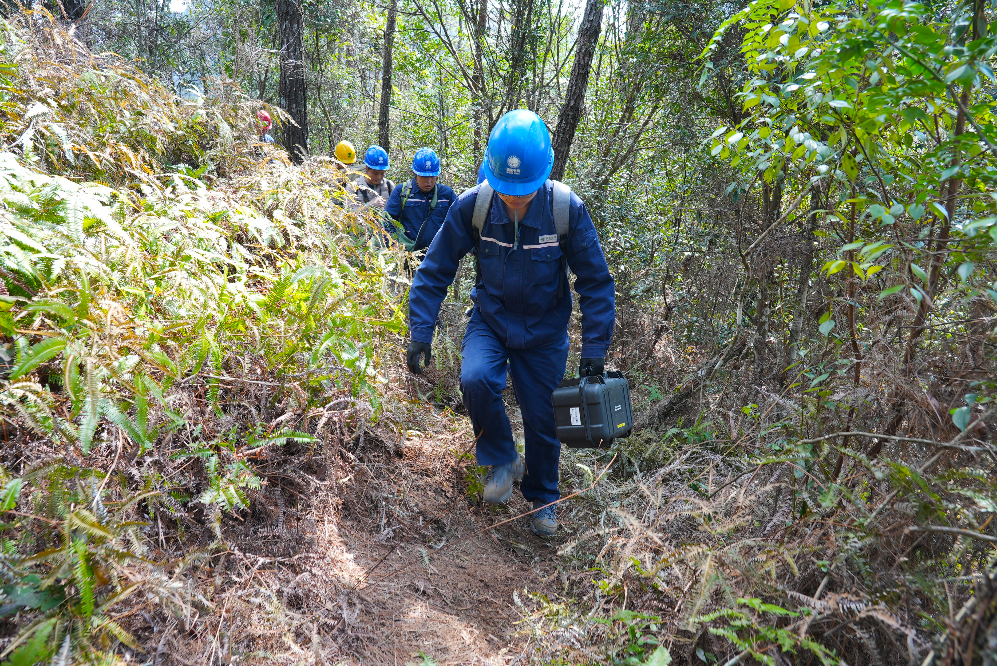2月21日國網(wǎng)福州供電公司輸電帶電作業(yè)班成員背著工器具上山前往福建省福州市閩清縣桔林鄉(xiāng)尚德村500千伏榕三Ⅰ路74號塔至75號塔間的線路上帶電處理導(dǎo)線黏連隱患（陳德鈞）.jpg