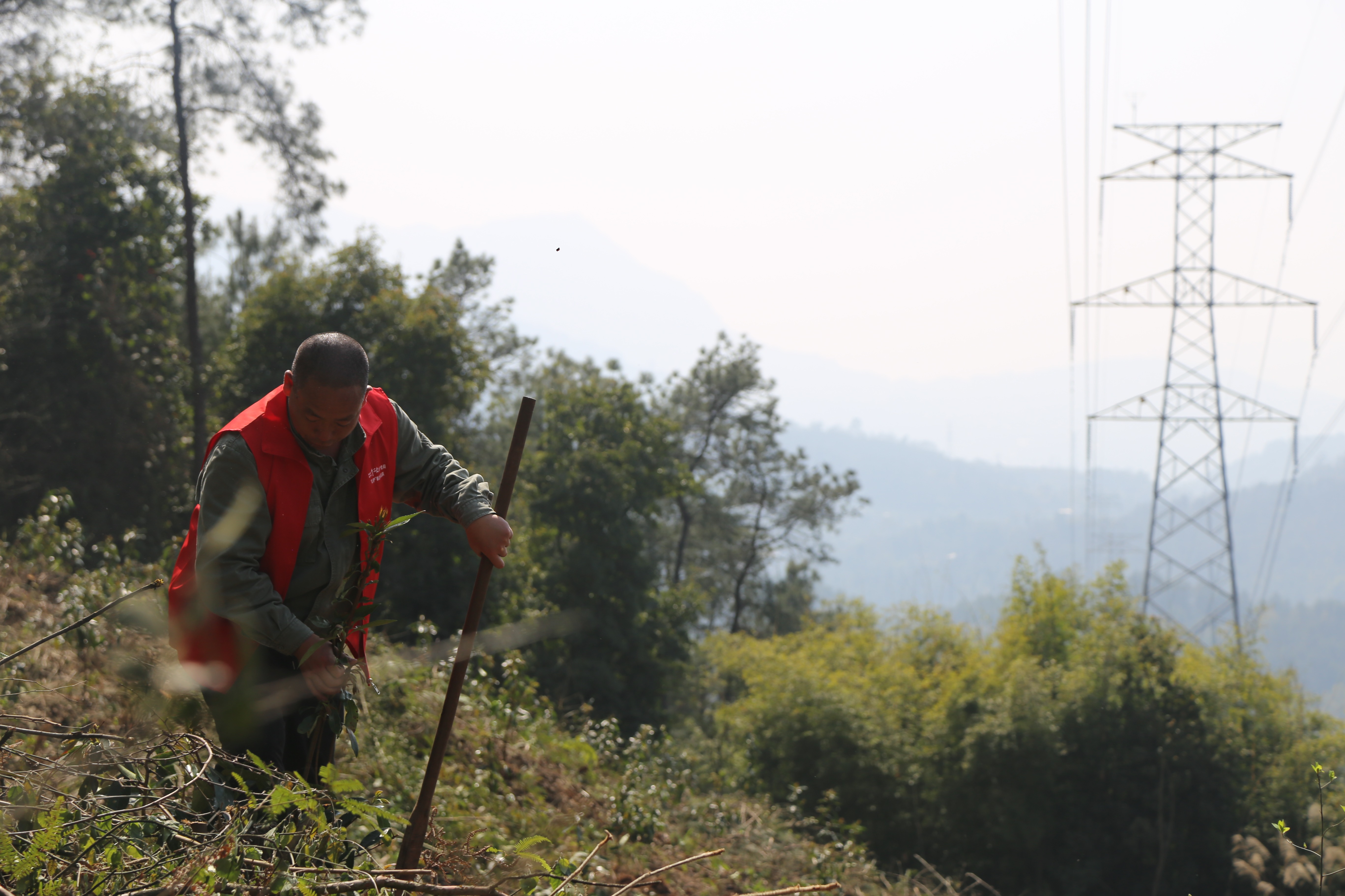 3月11日，綦江區(qū)紅巖<span id=