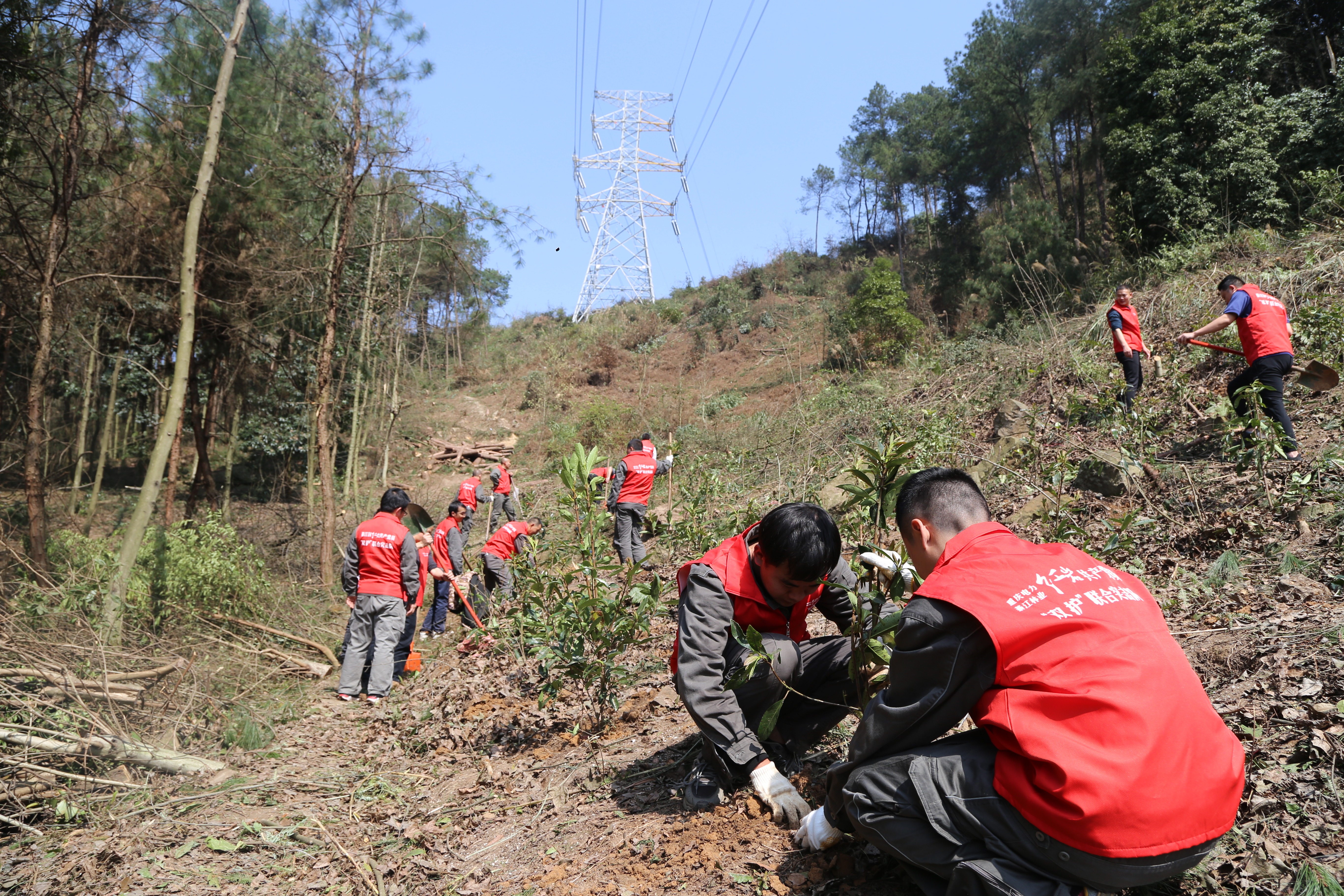 3月11日，綦江區(qū)紅巖<span id=