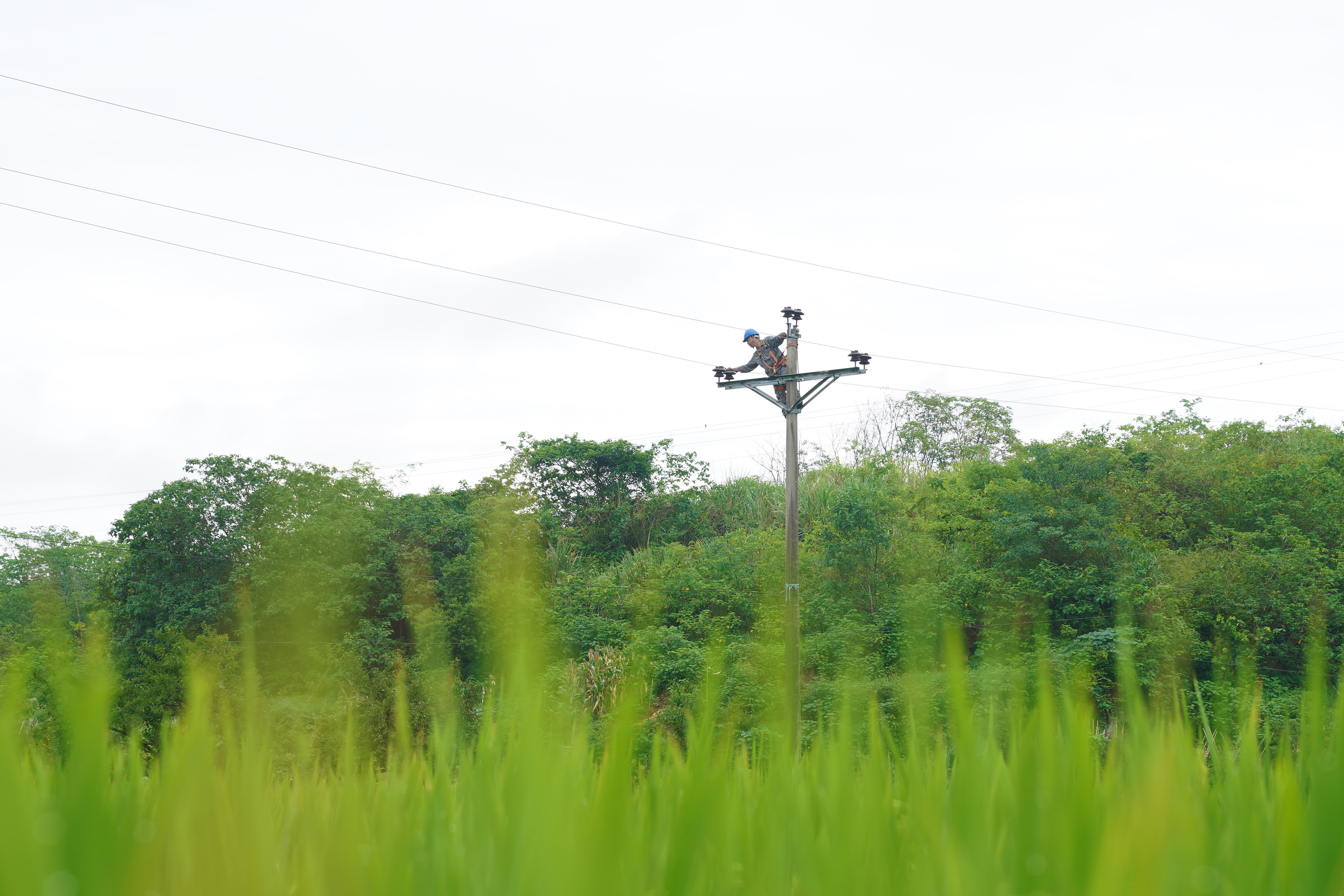 國網(wǎng)銅梁供電公司在東城街道梁祝村開展10千伏鐵磁線與10千伏淮安2回聯(lián)絡(luò)工程建設(shè)。 (5).JPG