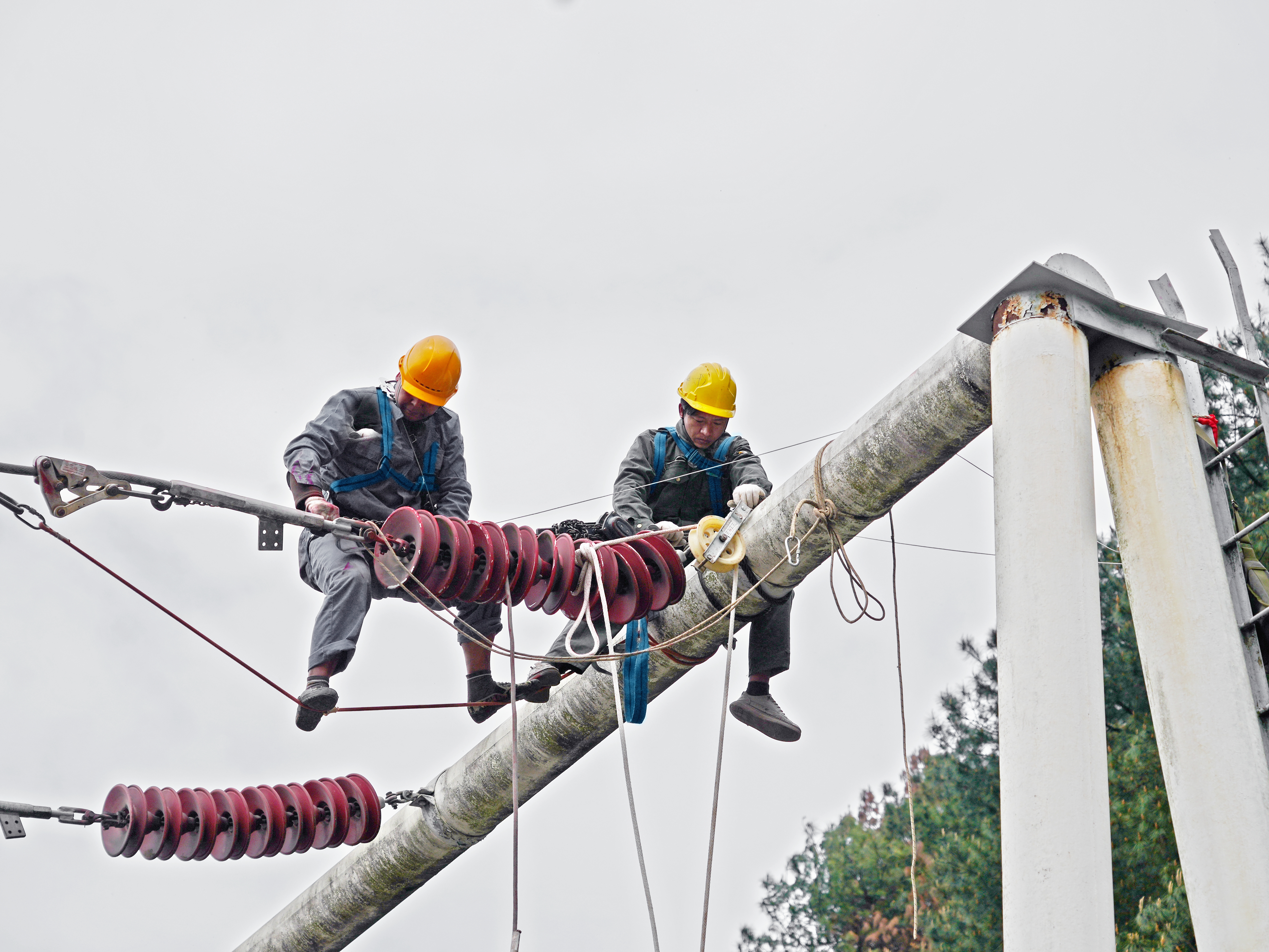 DSC02369.JPG DSC02369.JPG