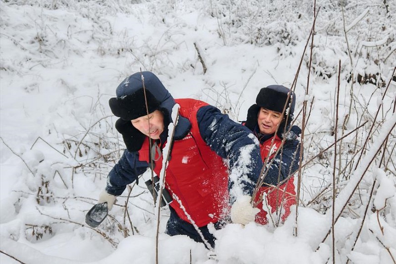 國家電網(wǎng)：扛牢保供責(zé)任 守護(hù)萬家溫暖